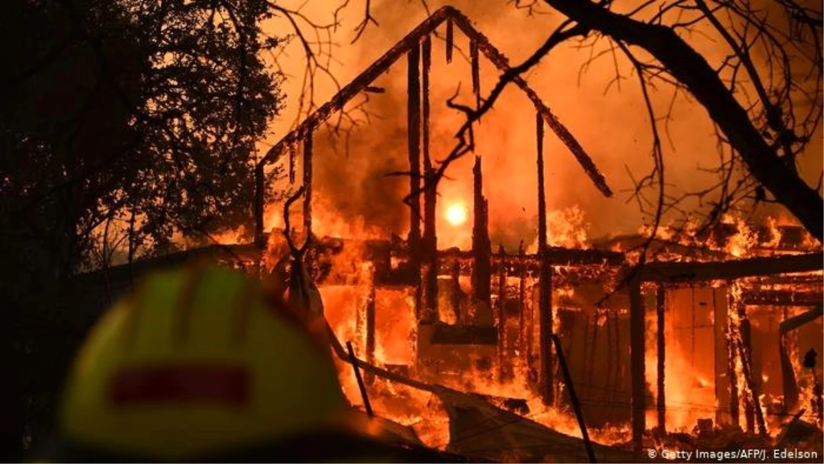 Kaliforniya\'daki orman yangınları durmuyor