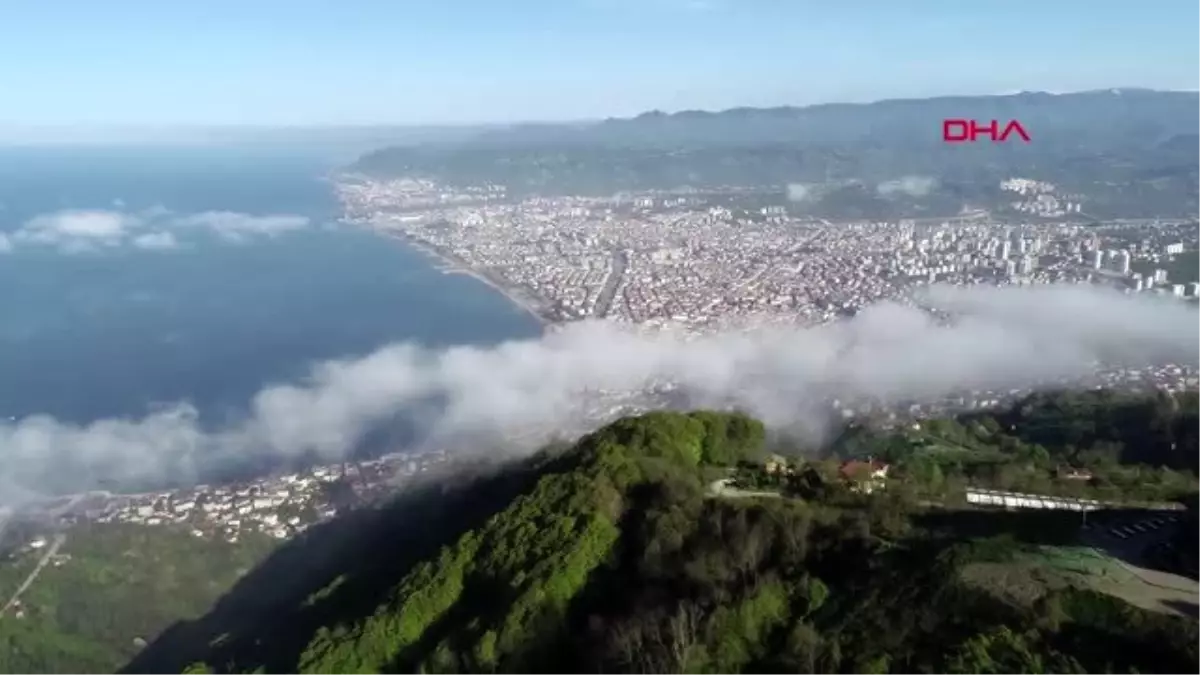 Ordu\'da arapların fındık bahçesi alımı 100 dönüme ulaştı