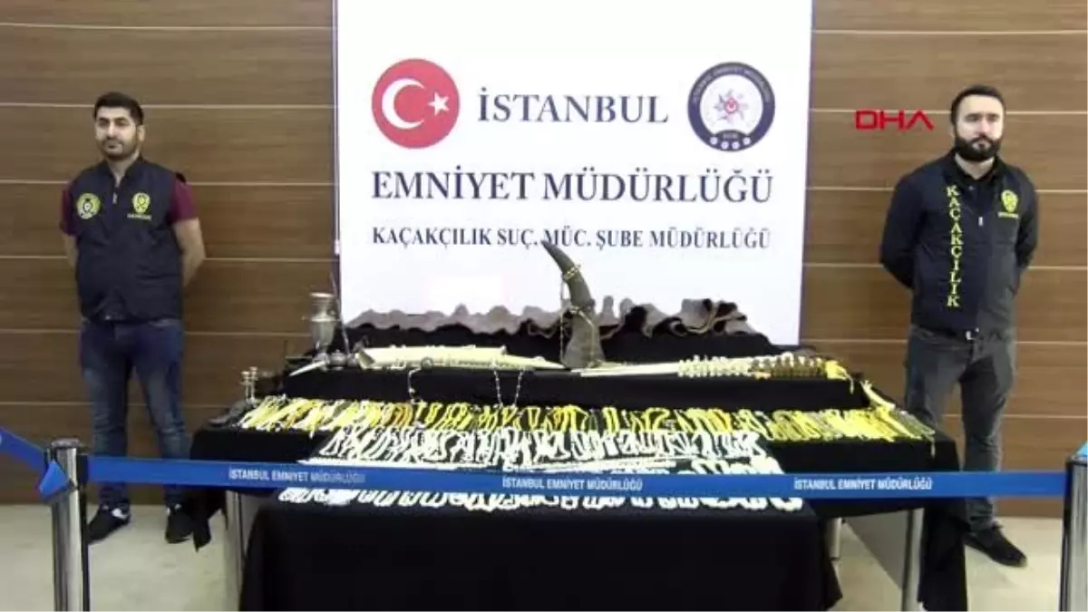 Piton yılanı derisi, fildişi, gergedan boynuzu... hepsi bu operasyonda ele geçirildi