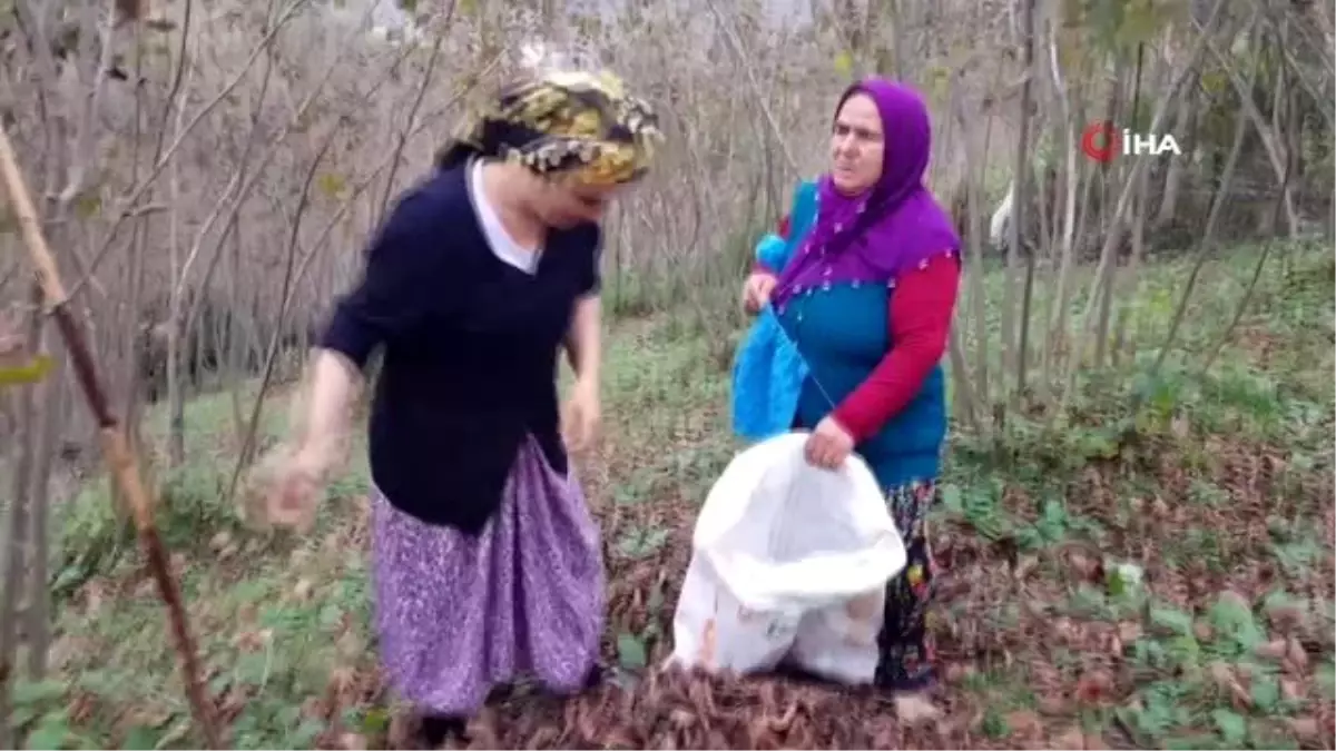 Fındık bahçesinden dizi setine...65 yaşında bir anne ve kızının kıskandıran hikayesi