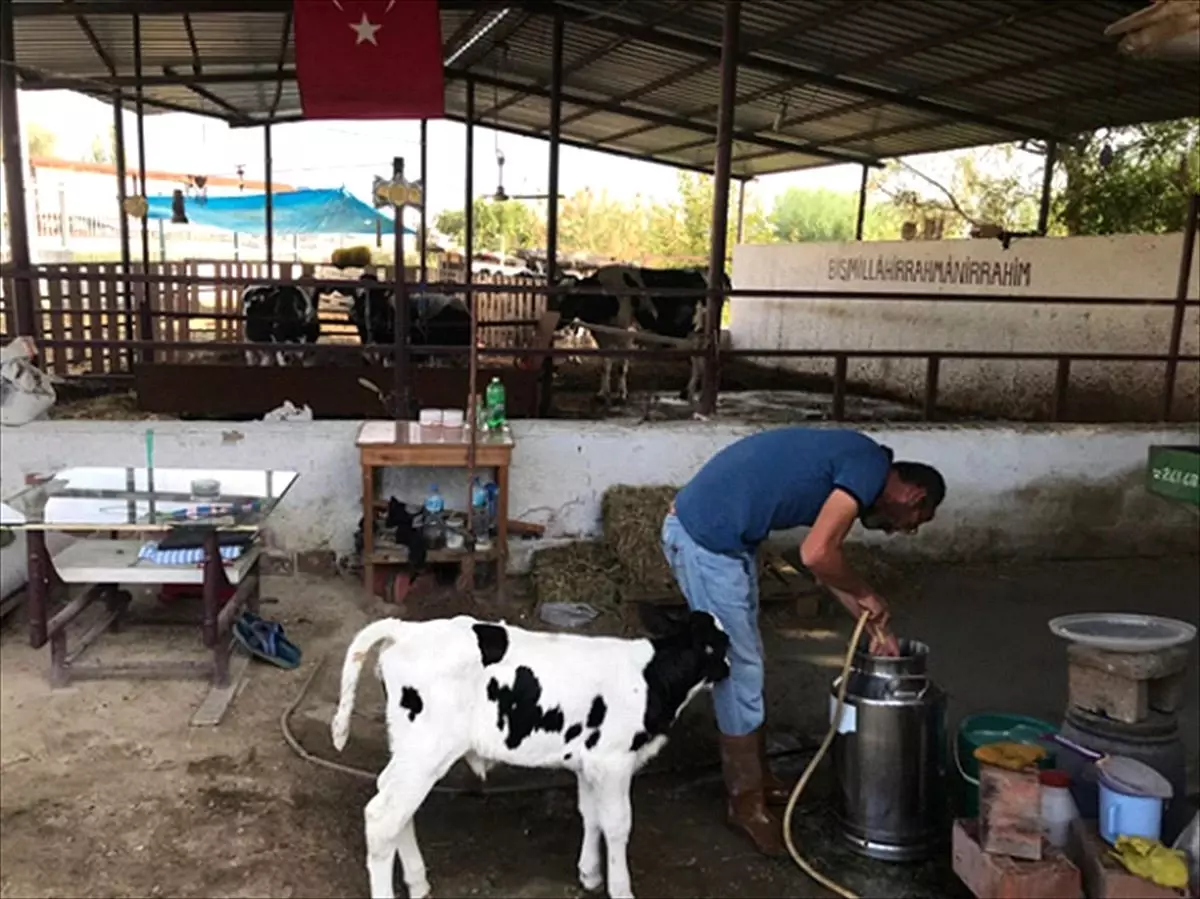 İŞKUR hibesiyle zor günleri geride bıraktı