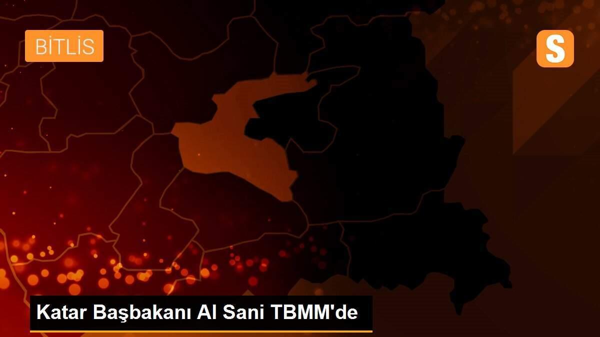 Katar Başbakanı Al Sani TBMM\'de