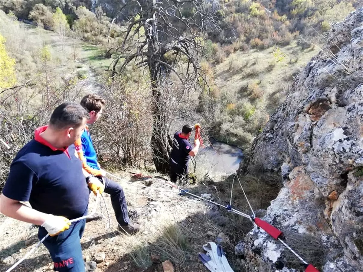 Uçurumda mahsur kalan keçiler kurtarıldı