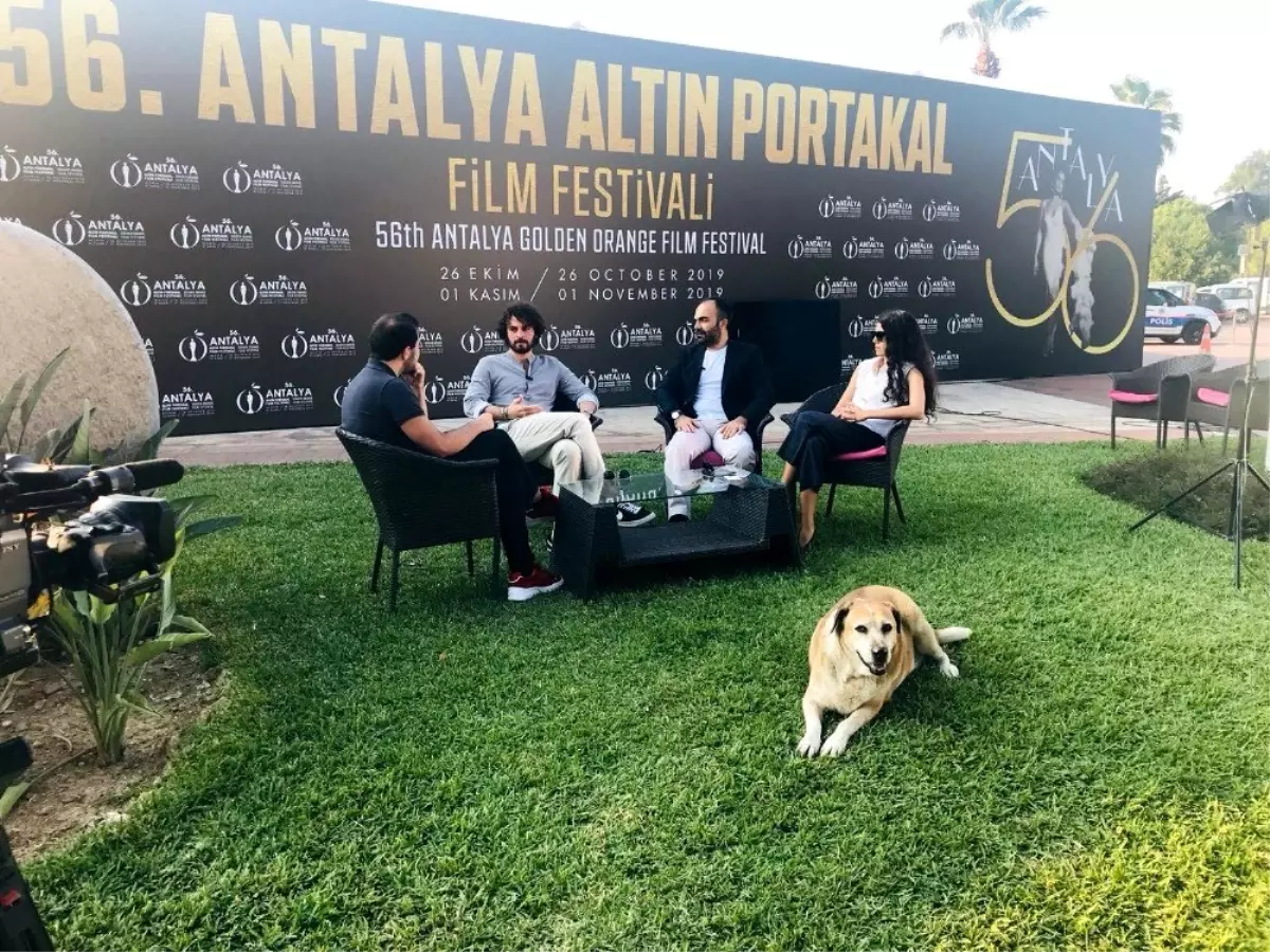 Altın Portakal\'da canlı yayının davetsiz sevimli misafiri