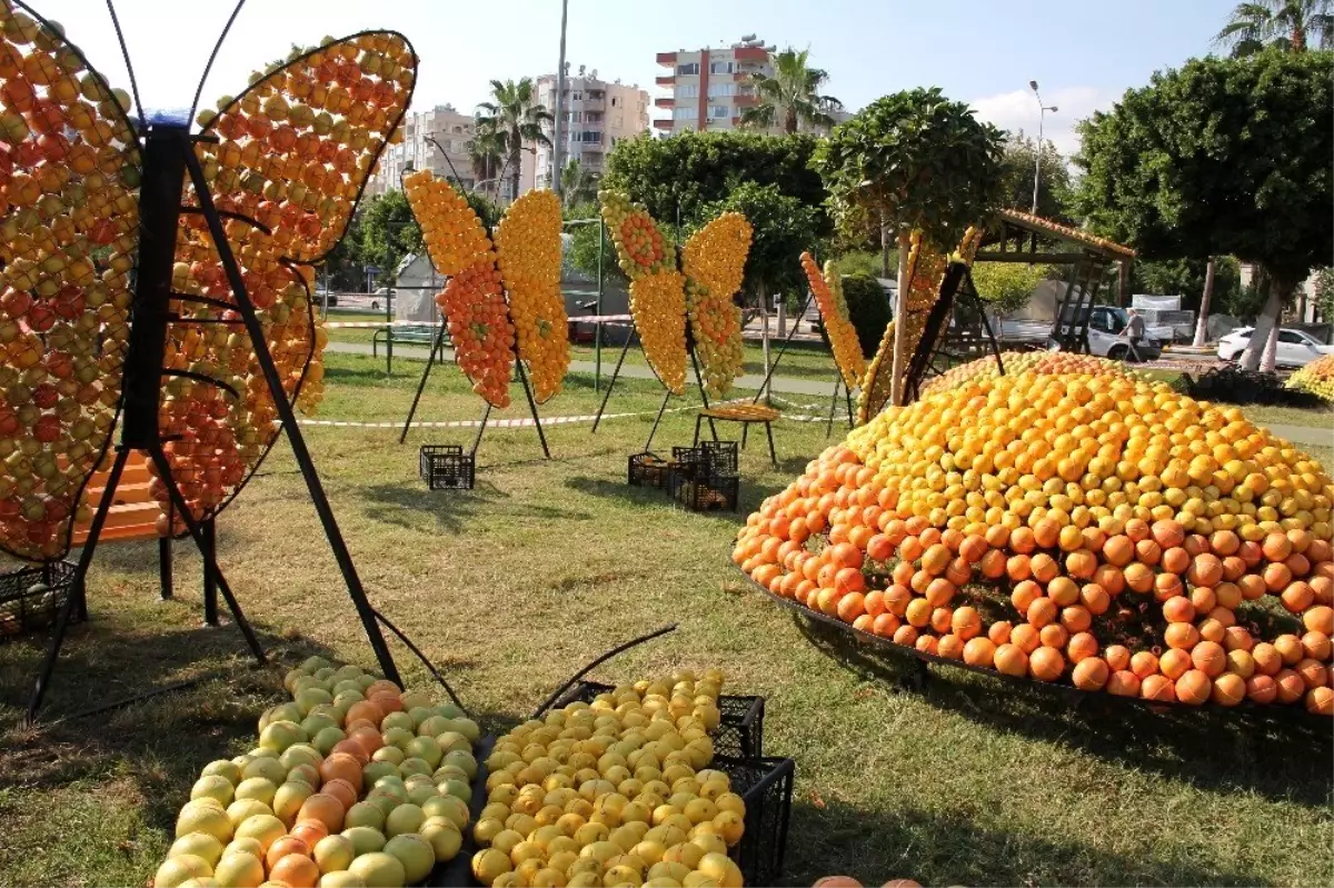 Emniyetten festival alanı için park uyarısı