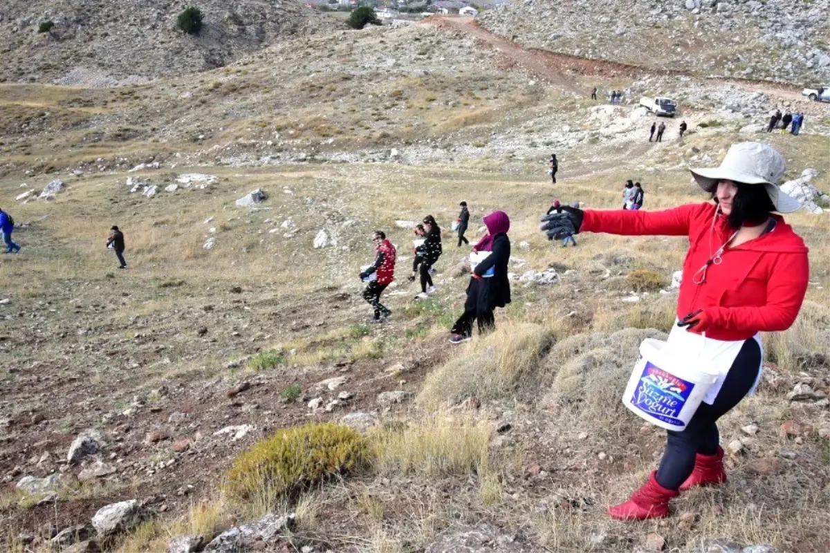 Feslikan Yaylasını gönüllü gençler gübreledi