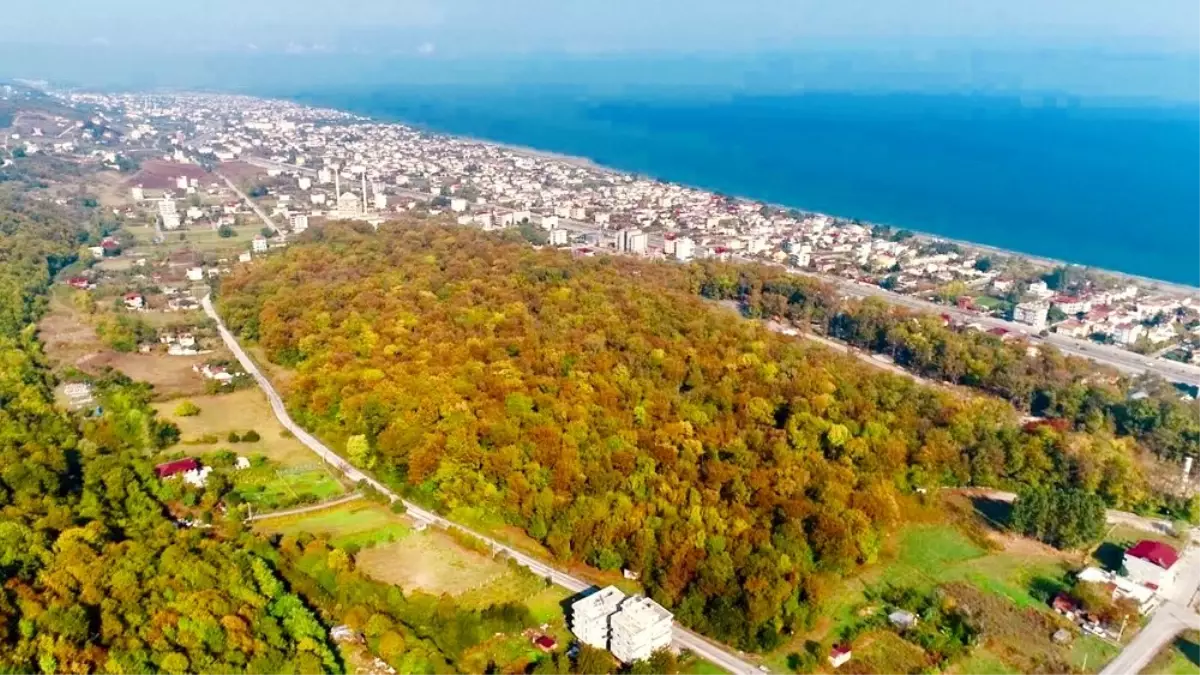 Samsun\'da sonbahar güzelliği