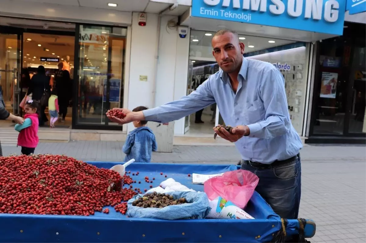 Yabani meyvelerle kışa hazırlık