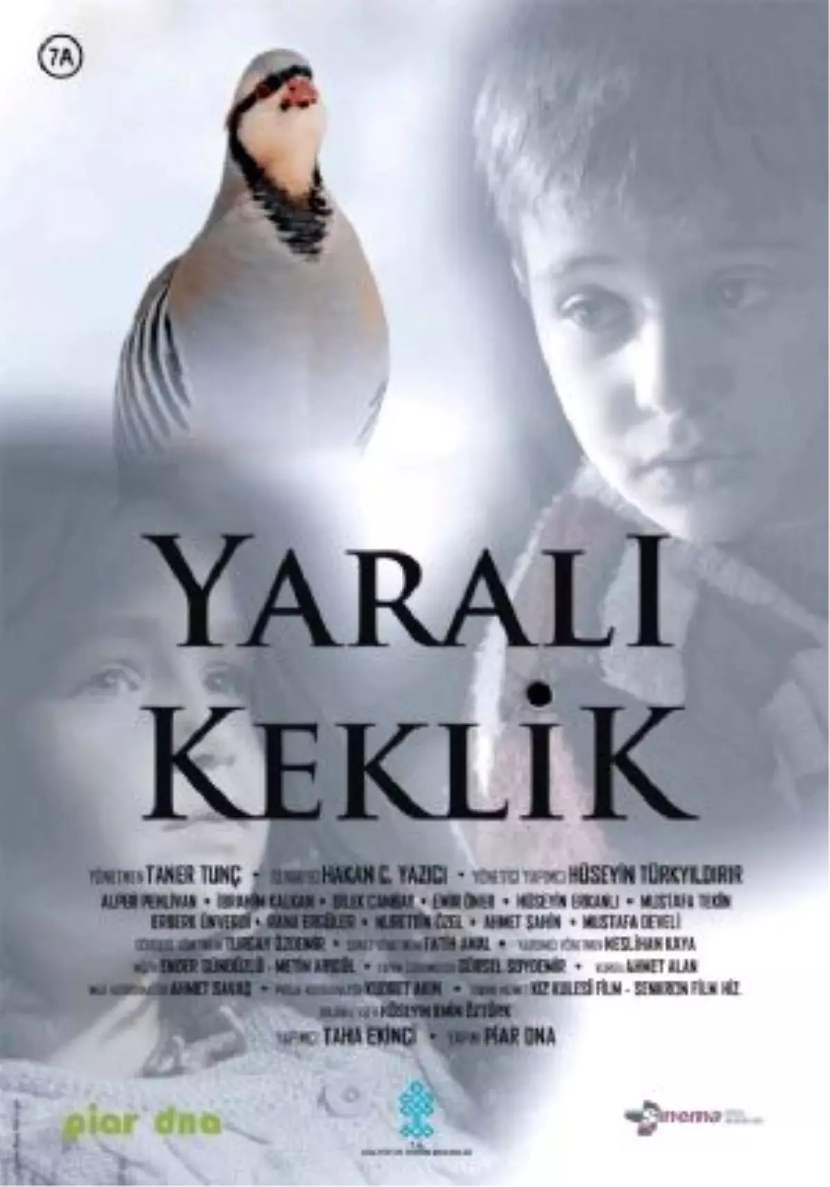 Yaralı Keklik Filmi