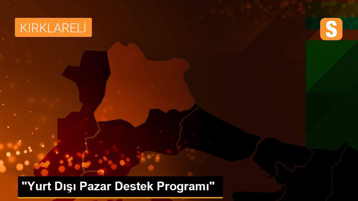"Yurt Dışı Pazar Destek Programı"