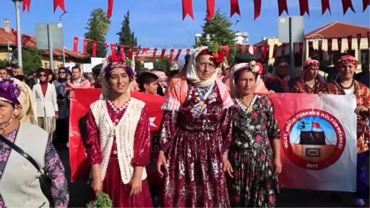 "6. Milas Zeytin Hasat Şenliği"