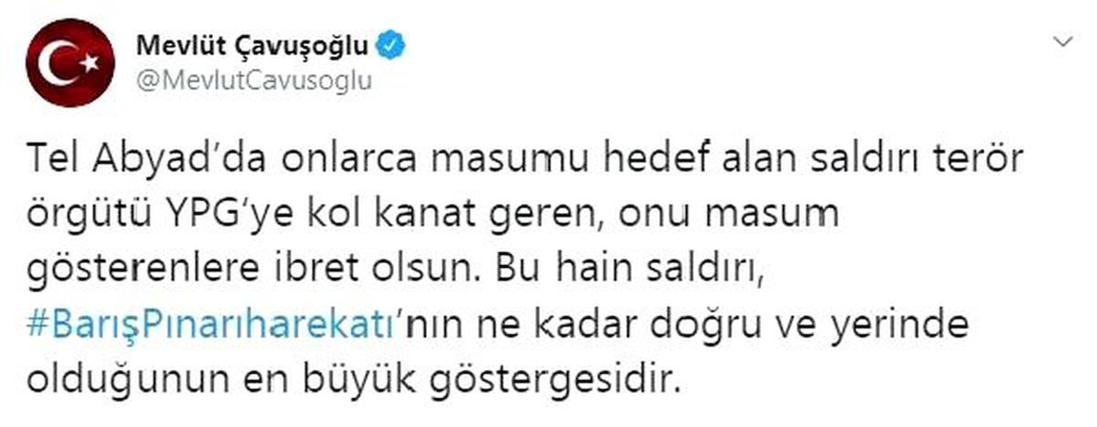 Çavuşoğlu: Tel Abyad saldırısı, YPG\'yi masum gösterenlere ibret olsun