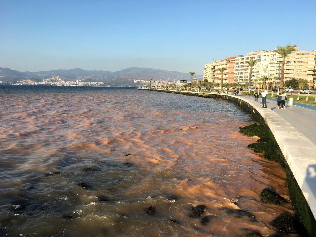 İzmir\'de denizin rengi değişti