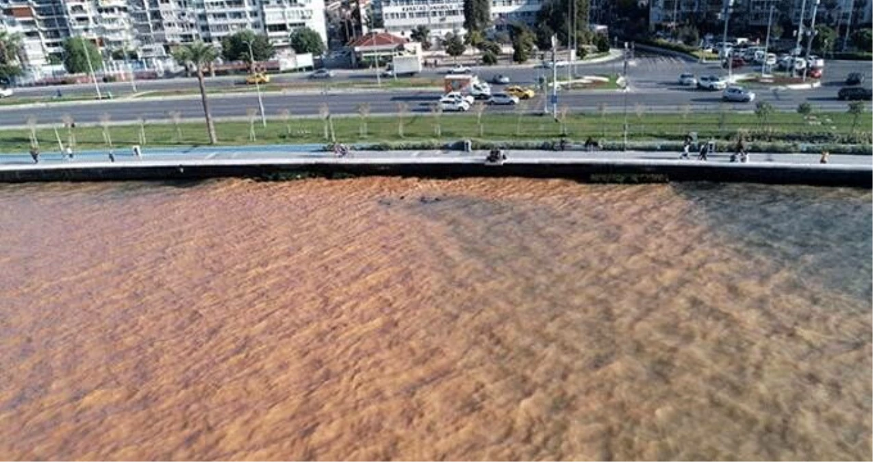 İzmir\'de su borusu patladı, körfezin rengi kahverengiye döndü