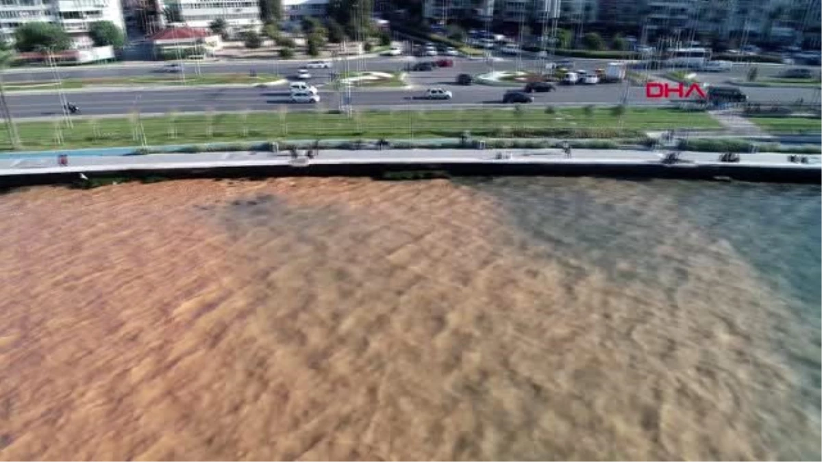 İzmir su borusu patladı, taşkın sularının ulaştığı izmir körfezi kahverengiye büründü