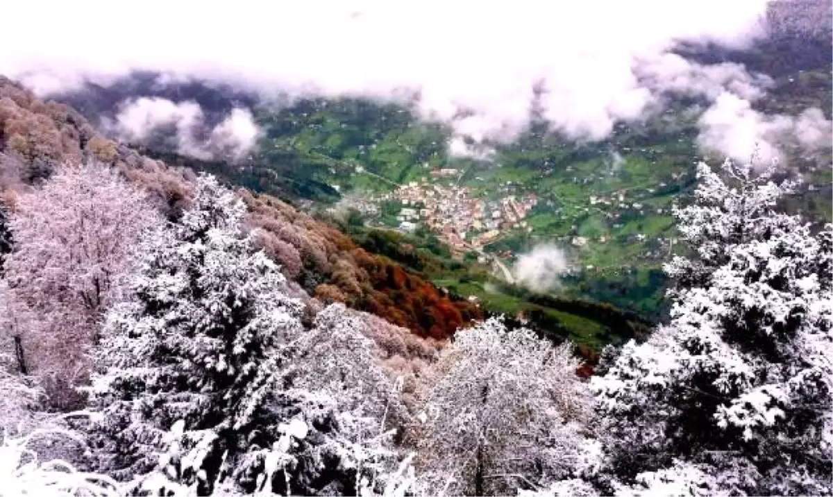 Karadeniz yaylalarında kar güzelliği