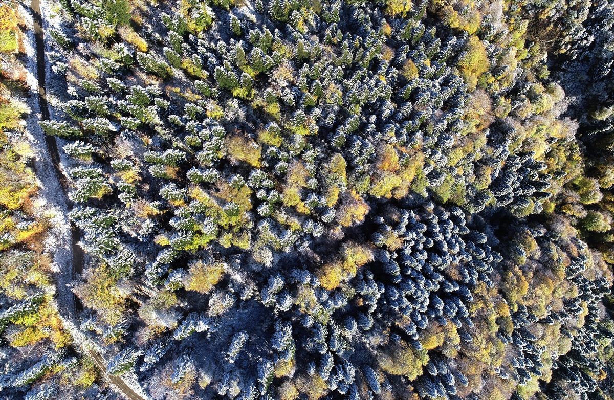Kastamonu\'da sonbaharın renk cümbüşü