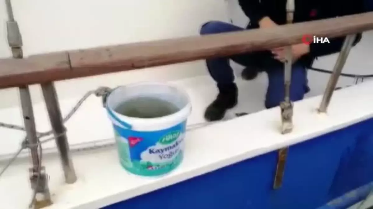 Marmara\'da kirlilik alarmı... Liman trafiğe kapatıldı