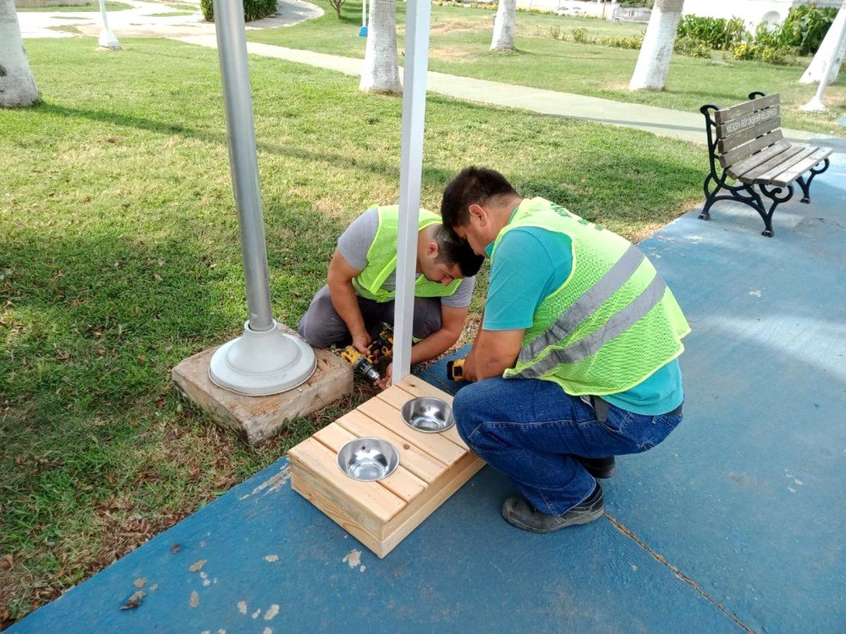 Mersin\'de sahipsiz hayvanlar için beslenme durakları yapıldı