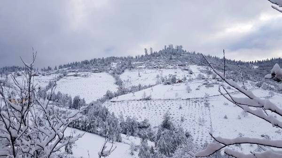 Ordu\'da yaylacılar kara yakalandı