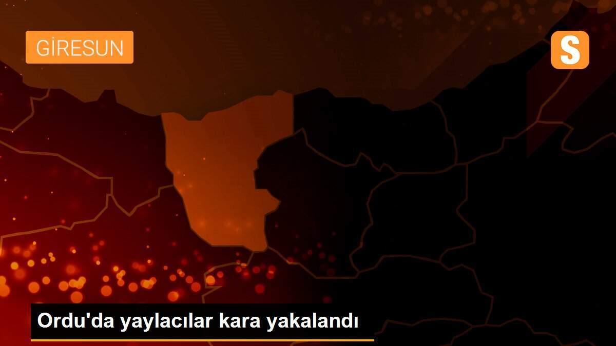 Ordu\'da yaylacılar kara yakalandı