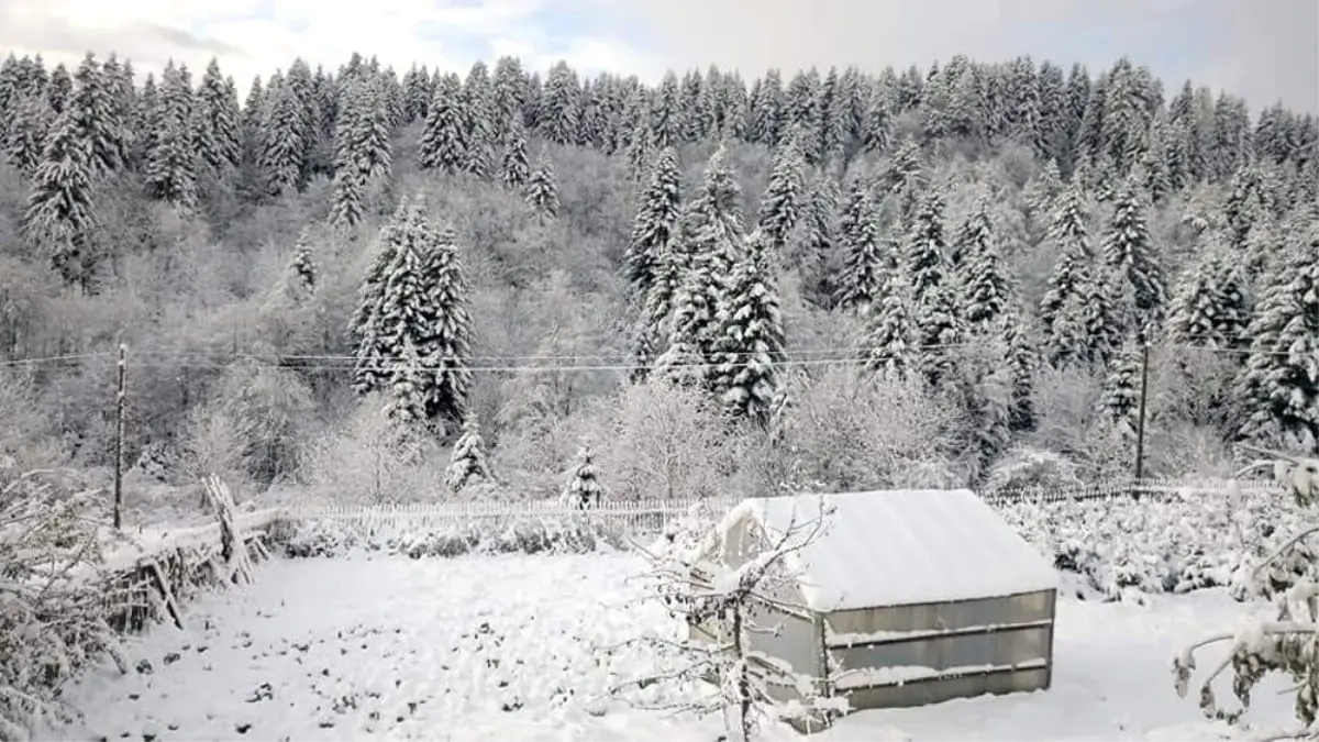 Ordu\'ya mevsimin ilk karı yağdı