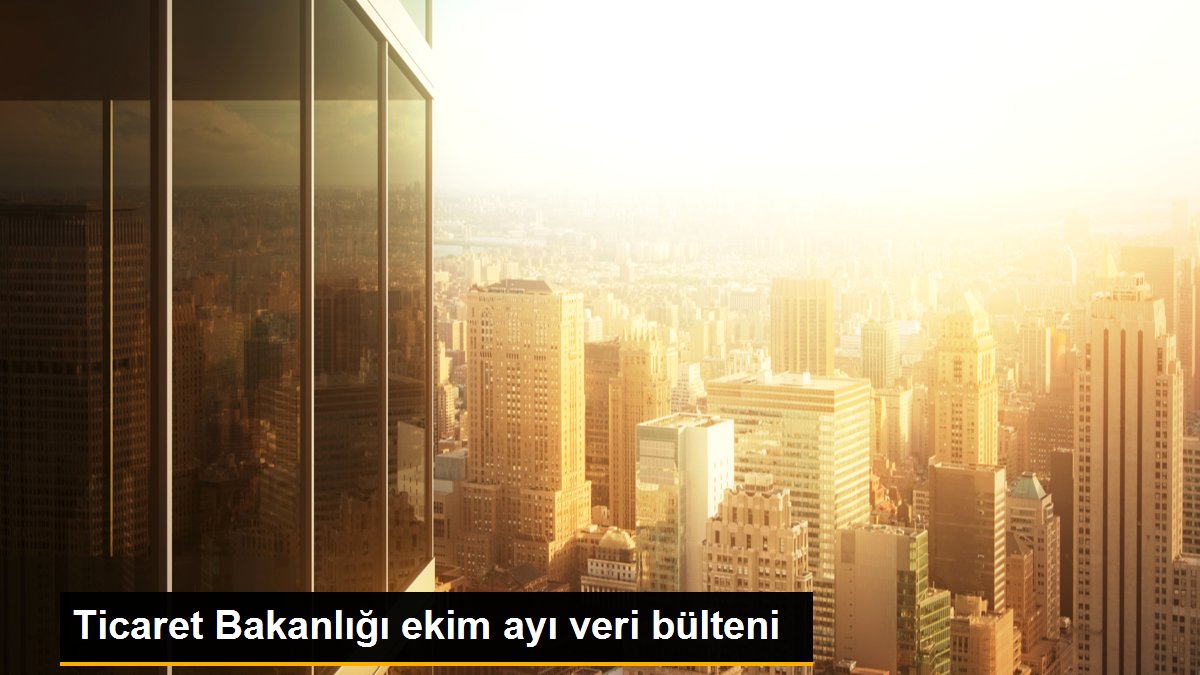 Ticaret Bakanlığı ekim ayı veri bülteni