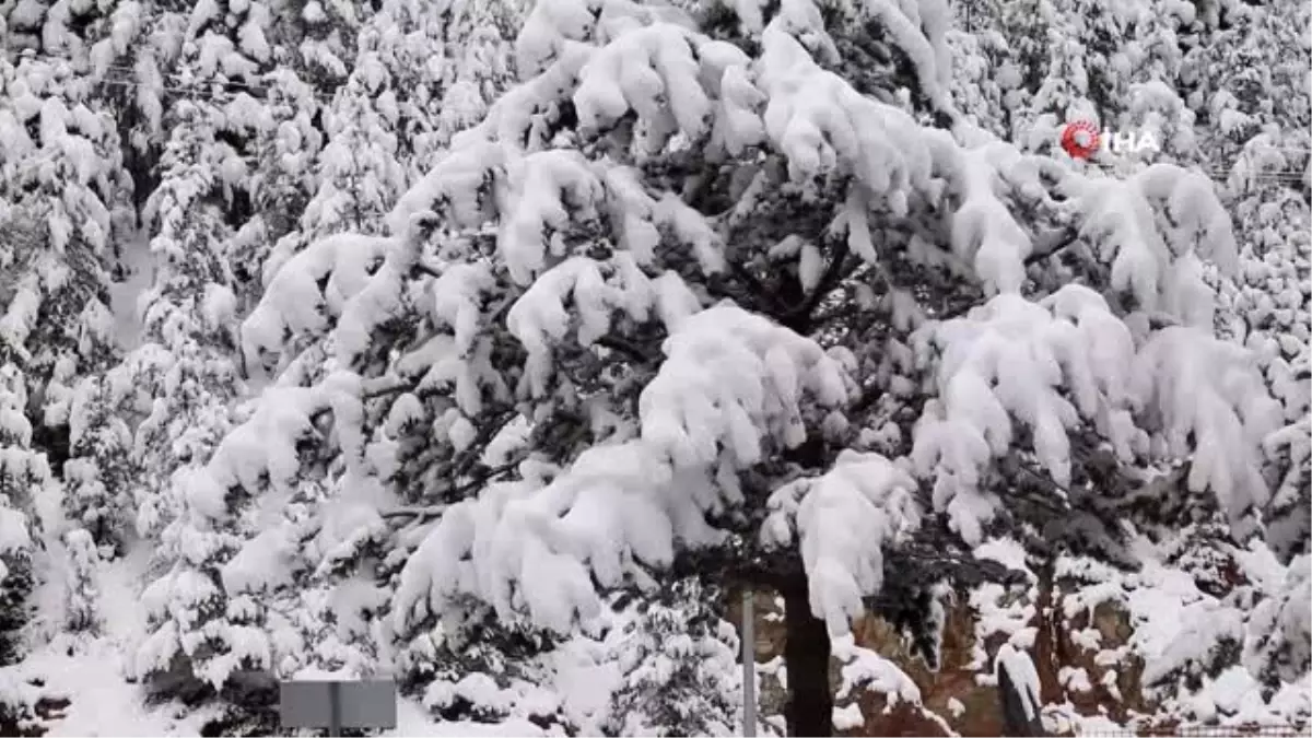 Zigana Dağı beyaz gelinliğini giydi..Kar kalınlığı 20 santimetreyi aştı