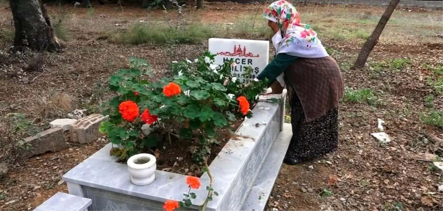 Antalya\'da mezarlıktaki kabrin kazılıp etrafına kenevir ekildiği iddiası