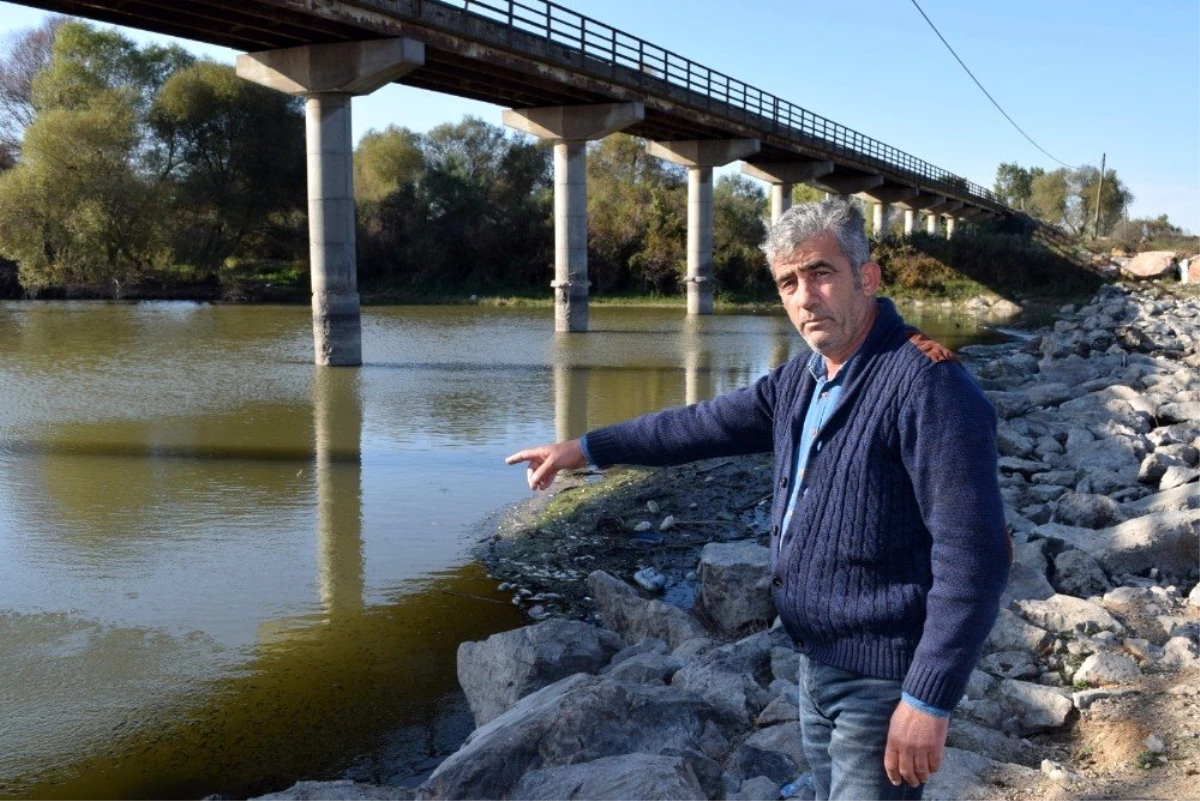 Bursa\'da balık ölümleri devam ediyor