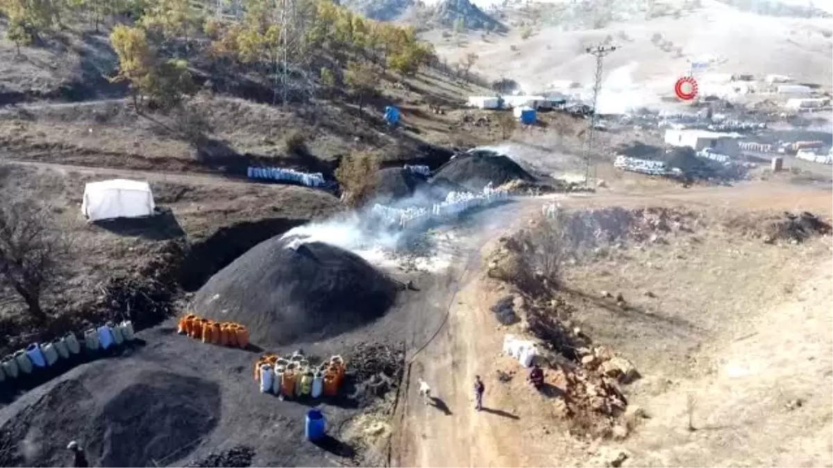 Meşe ağacının mangal kömürü olma yolculuğu