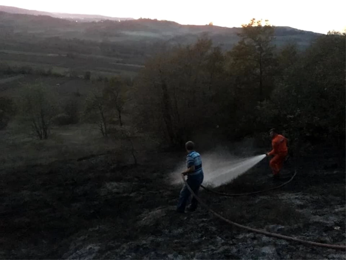 Ormanlık alanda çıkan yangın söndürüldü