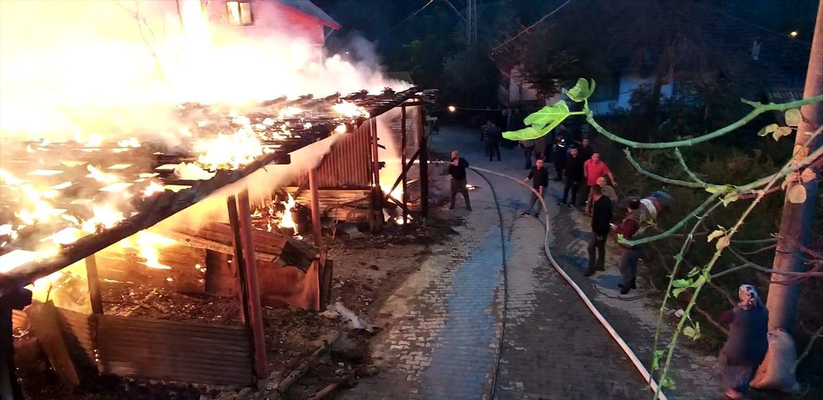 Zonguldak\'ta ahır yangını