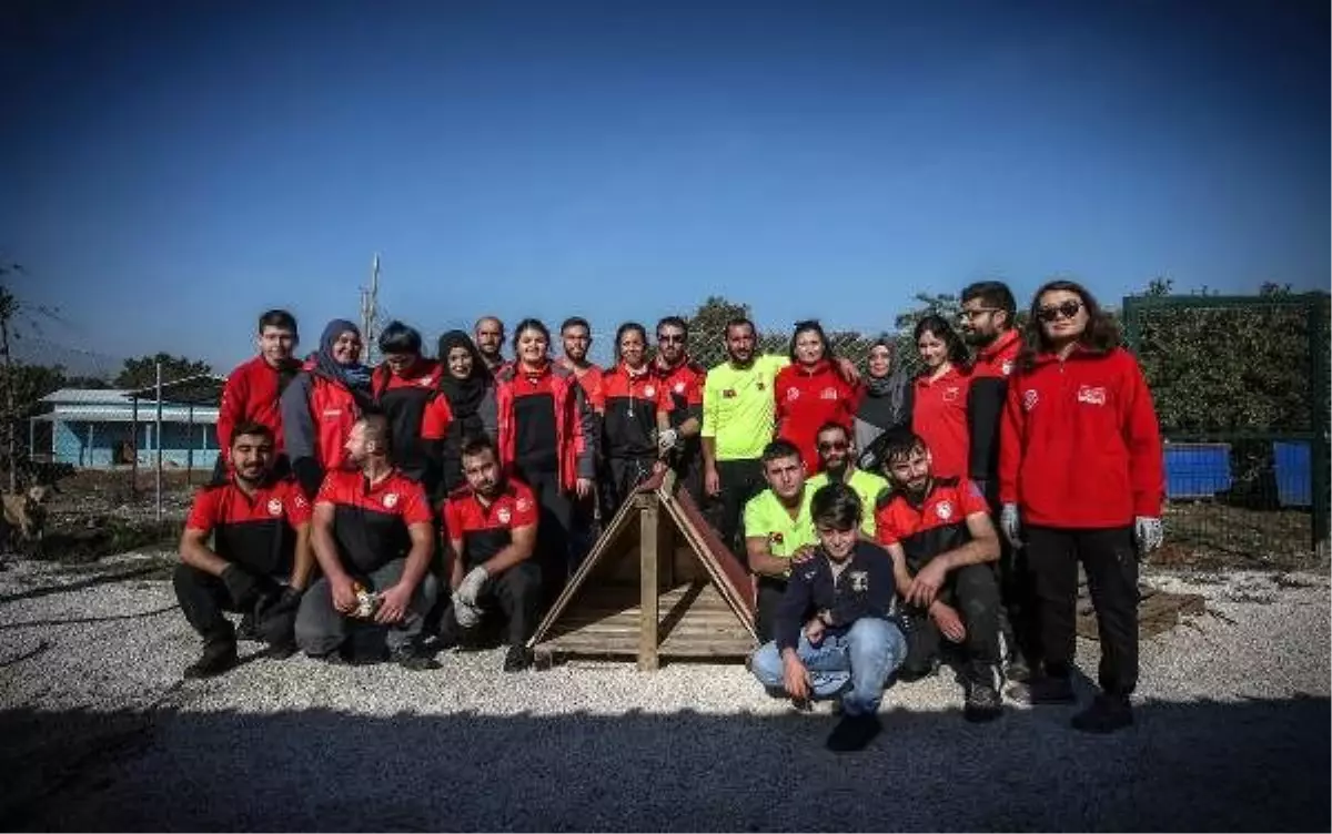 Arama kurtarma ekipleri, sokak hayvanları için kulübe yaptı