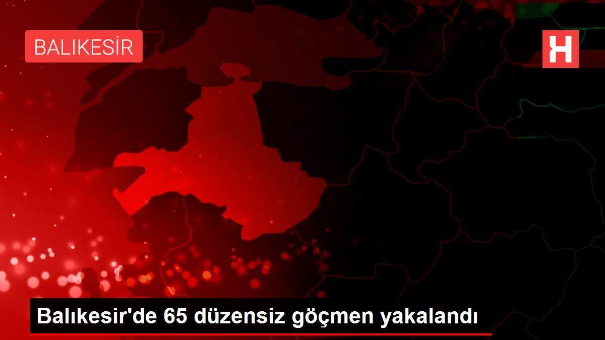 Balıkesir\'de 65 düzensiz göçmen yakalandı