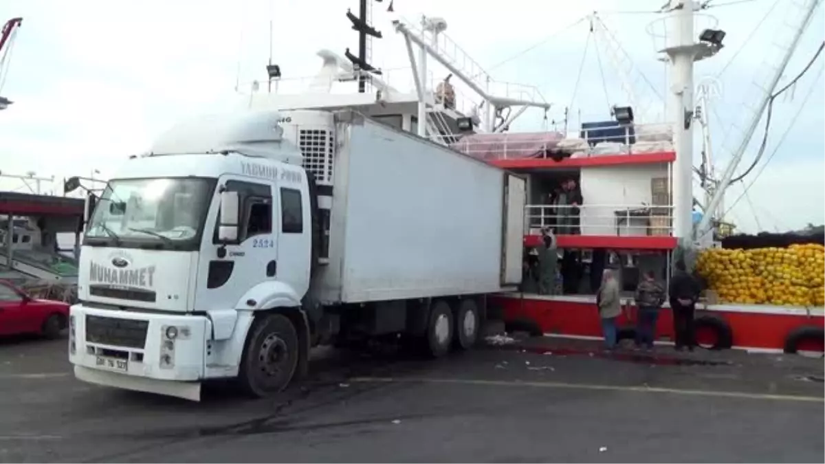 Batı Karadeniz\'de hamsi bolluğu yüzleri güldürdü