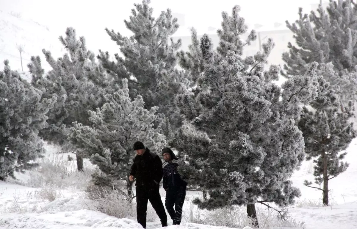 Doğu Anadolu\'da soğuk hava: Göle - 17