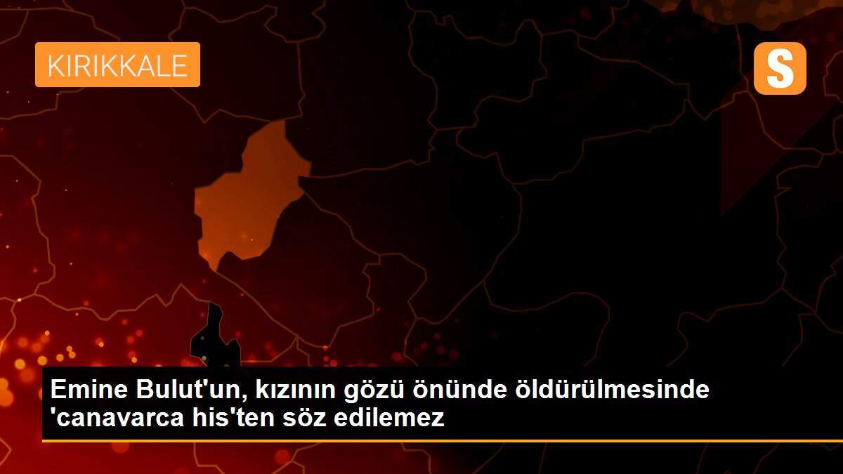 Emine Bulut\'un, kızının gözü önünde öldürülmesinde \'canavarca his\'ten söz edilemez