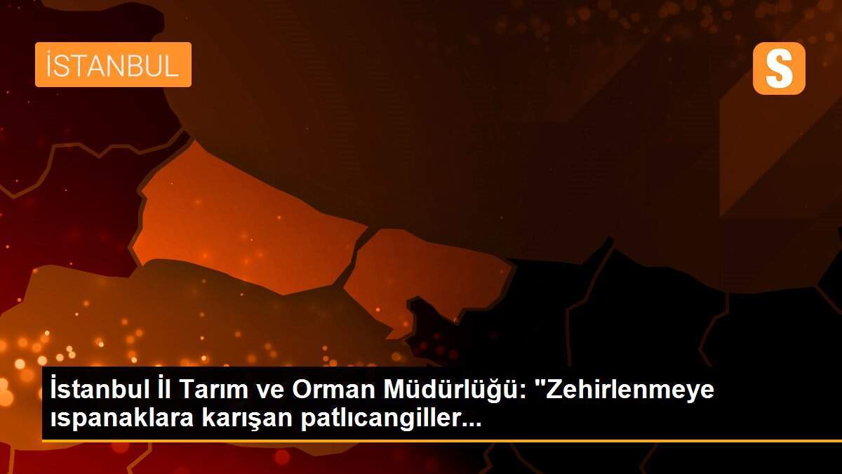 İstanbul İl Tarım ve Orman Müdürlüğü: "Zehirlenmeye ıspanaklara karışan patlıcangiller...