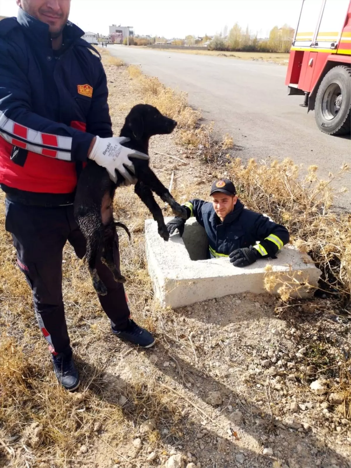 Kanalizasyon çukuruna düşen köpeği itfaiye kurtardı