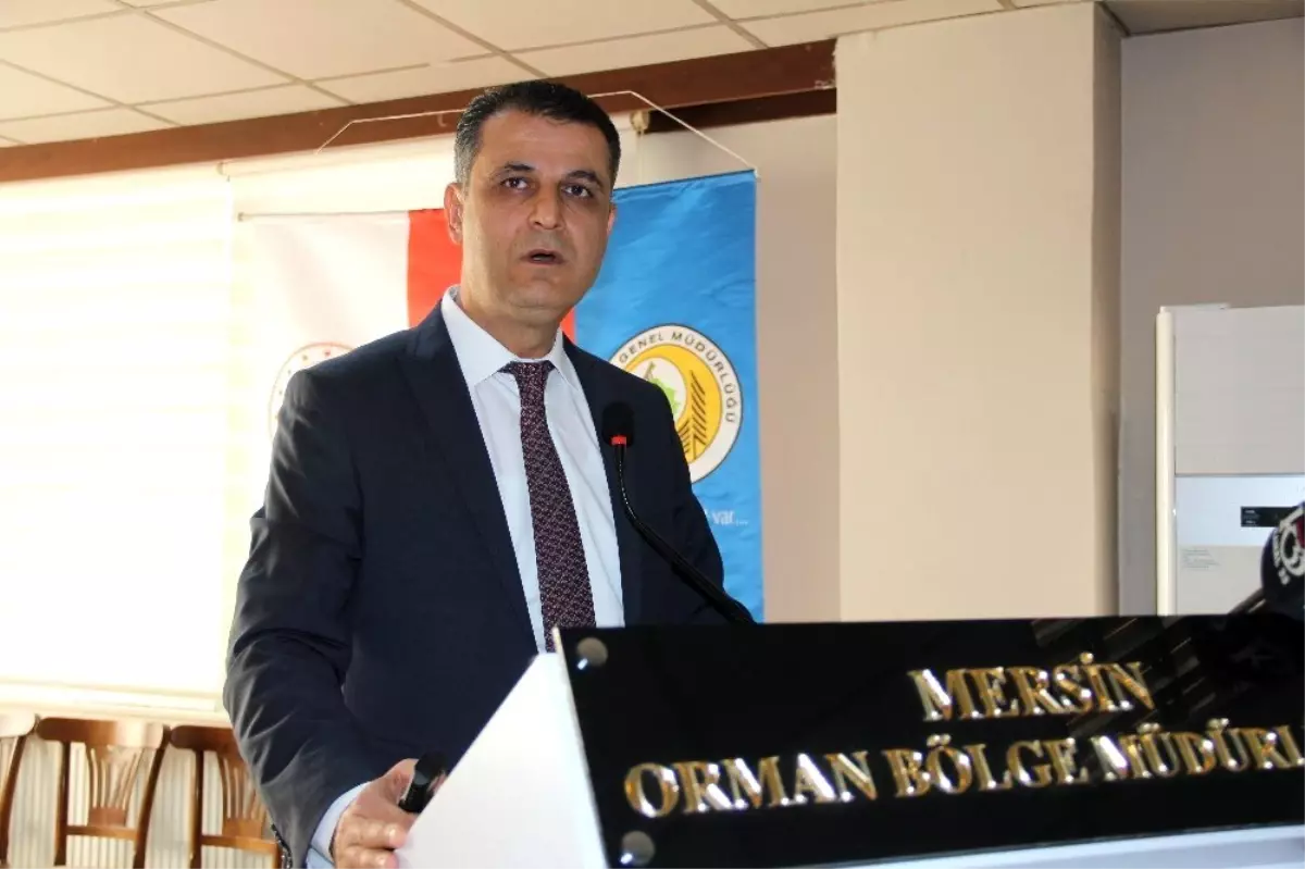 Mersin Orman Bölge Müdürlüğü, 11 Kasım\'da 251 bin fidanı toprakla buluşturacak