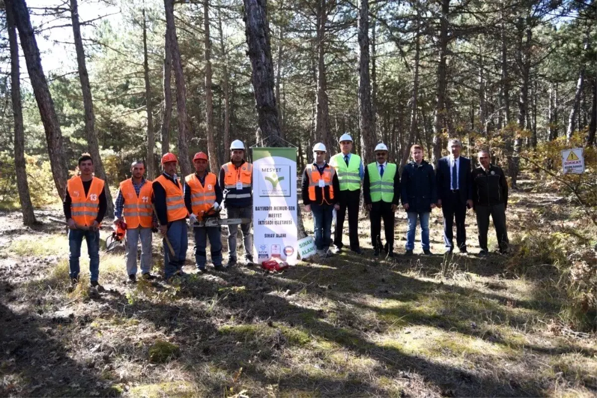 Ormancılık iş koluna mesleki yeterlilik belgesi şartı getirildi