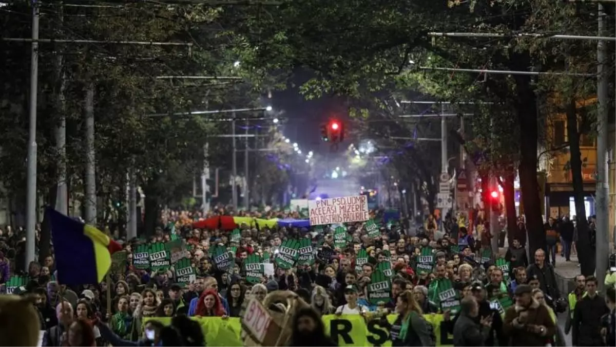 Romanya\'da binlerce kişi kaçak ağaç kesimi ve orman işçilerinin öldürülmesini protesto etti