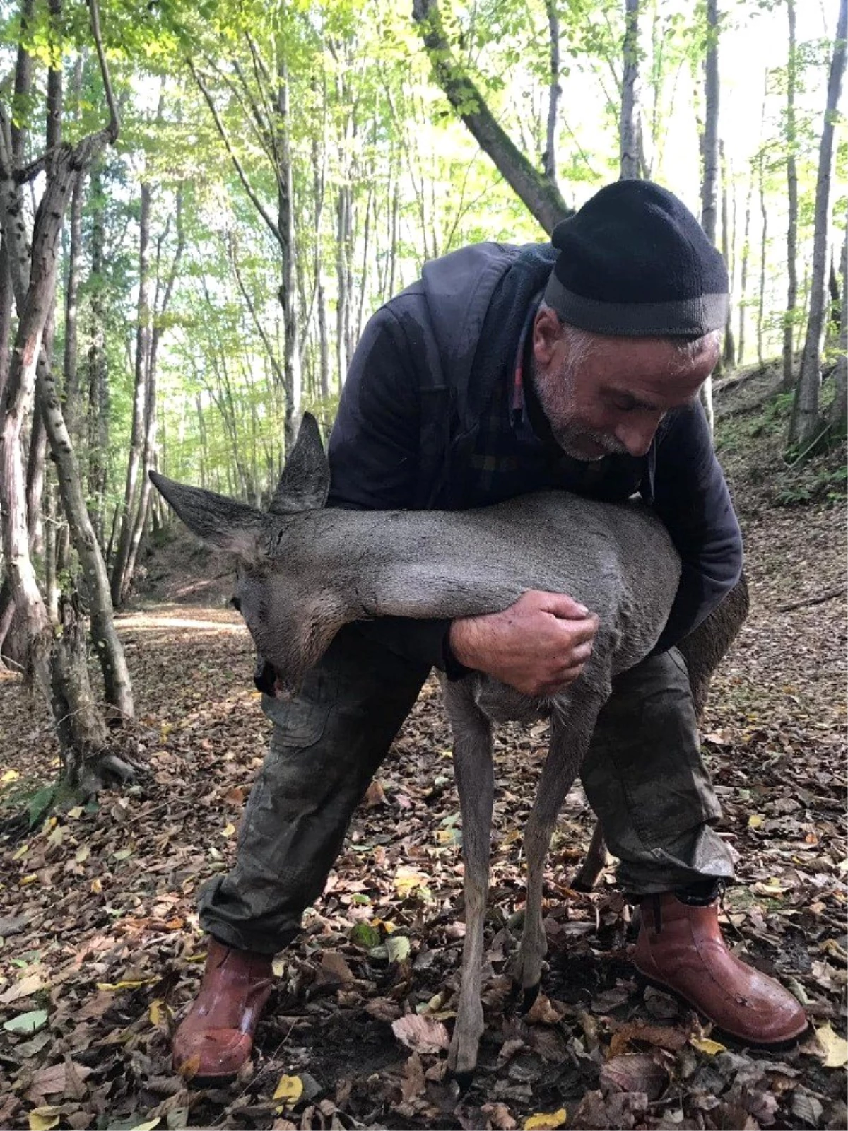 Vahşi hayvanlar parçalayacaktı, ziyaretçiler buldu