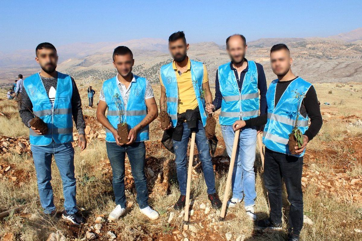 Yükümlüler badem fidanı dikti