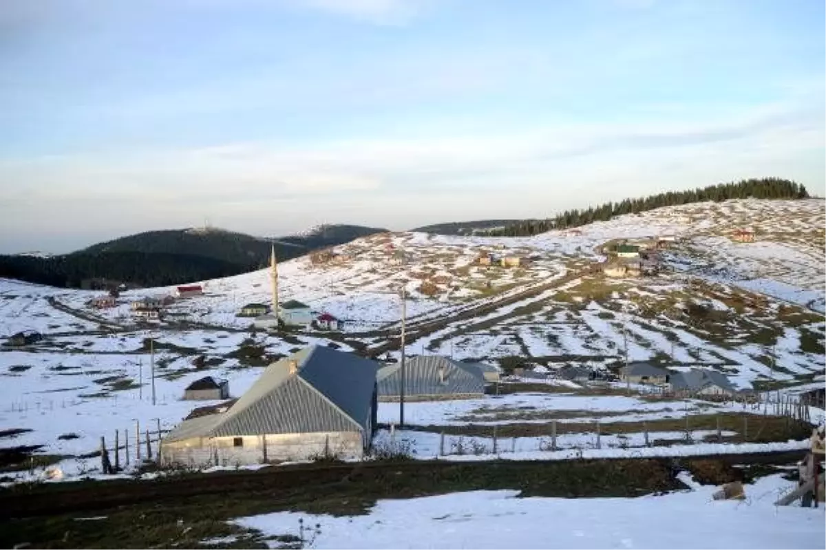 Doğu Karadeniz\'de soğuk, yerini sıcak havaya bıraktı