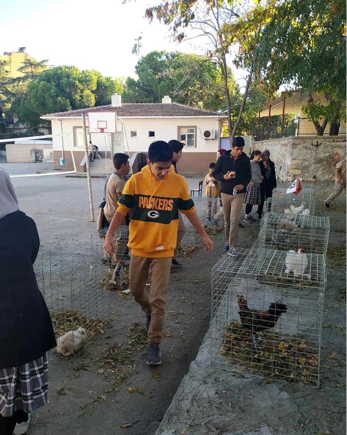 İlkokul öğrencileri kanatlı hayvan türleriyle tanıştı