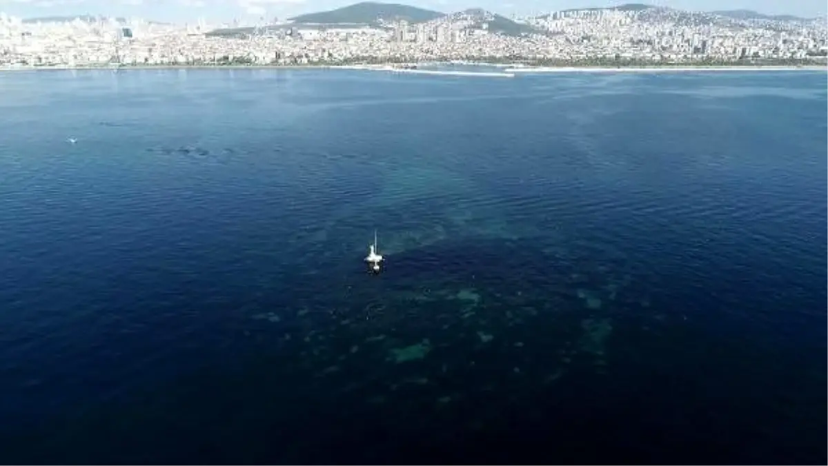 İstanbul\'da depremlerle battı... Vordonisi adası havadan fotoğraflandı