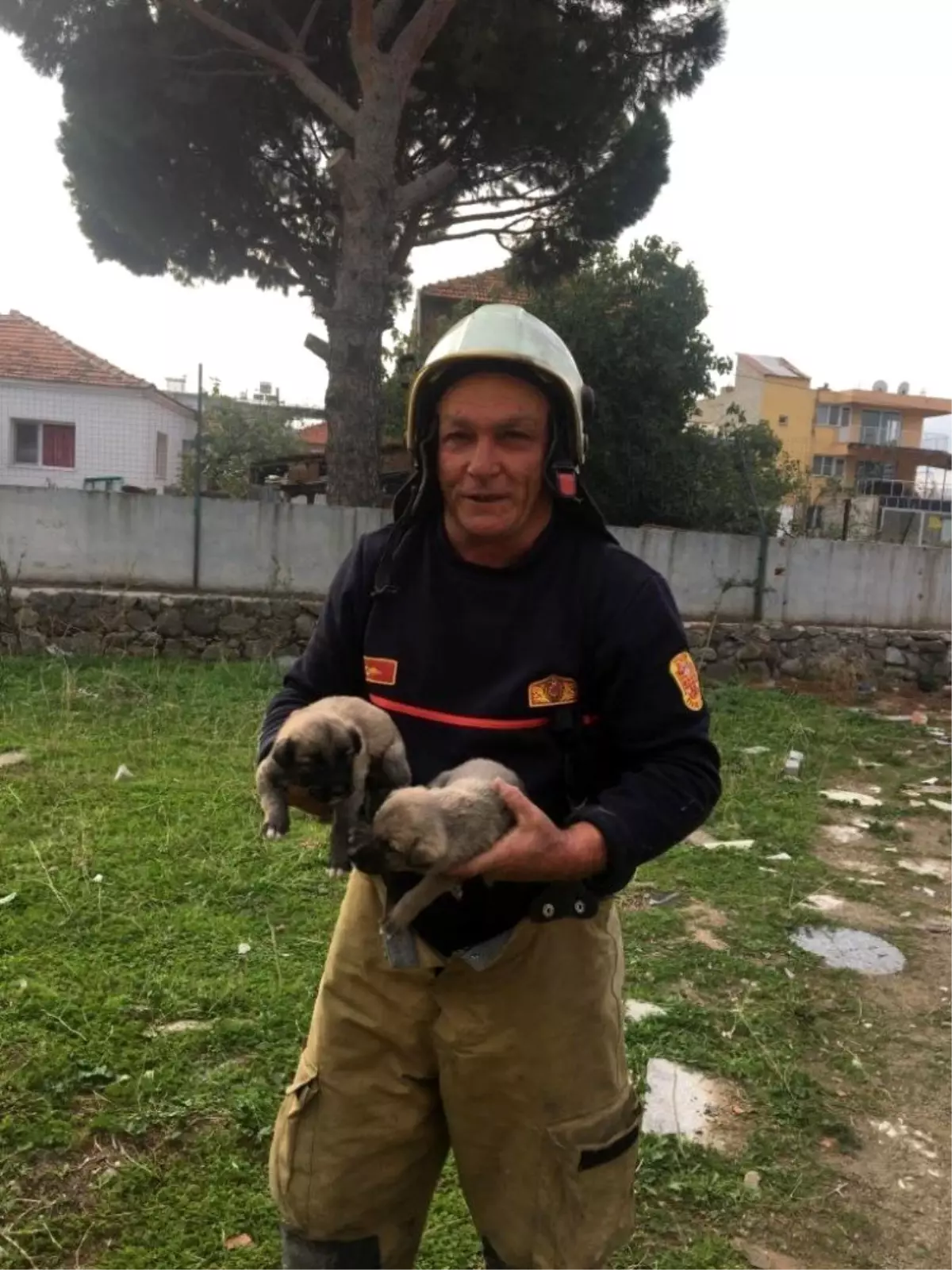 Kuyuya düşen yavru köpekler kurtarıldı