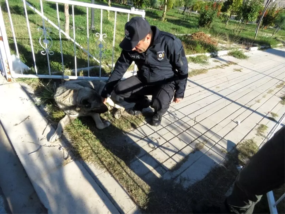 Malatya polisinden şefkat eli